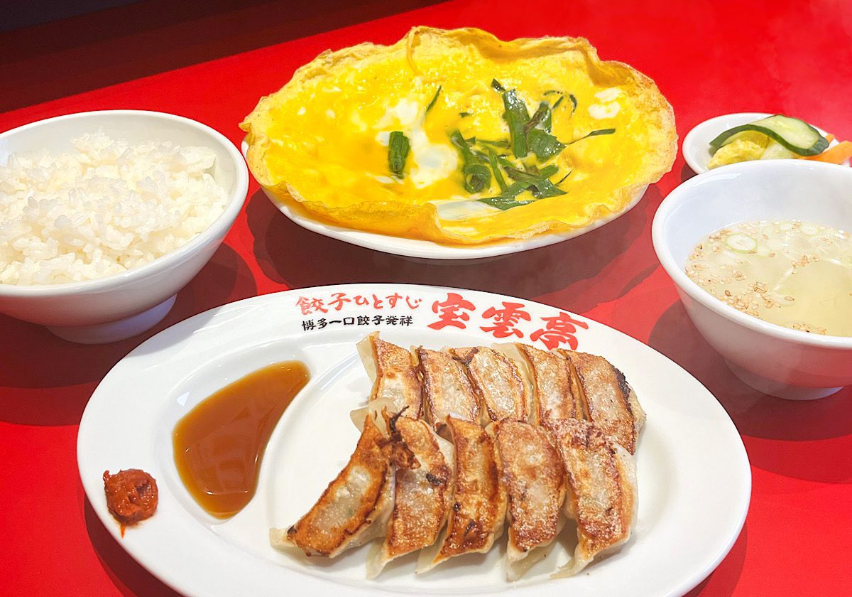 博多一口餃子の発祥・宝雲亭！行列の理由と名物ニラとじを徹底解説