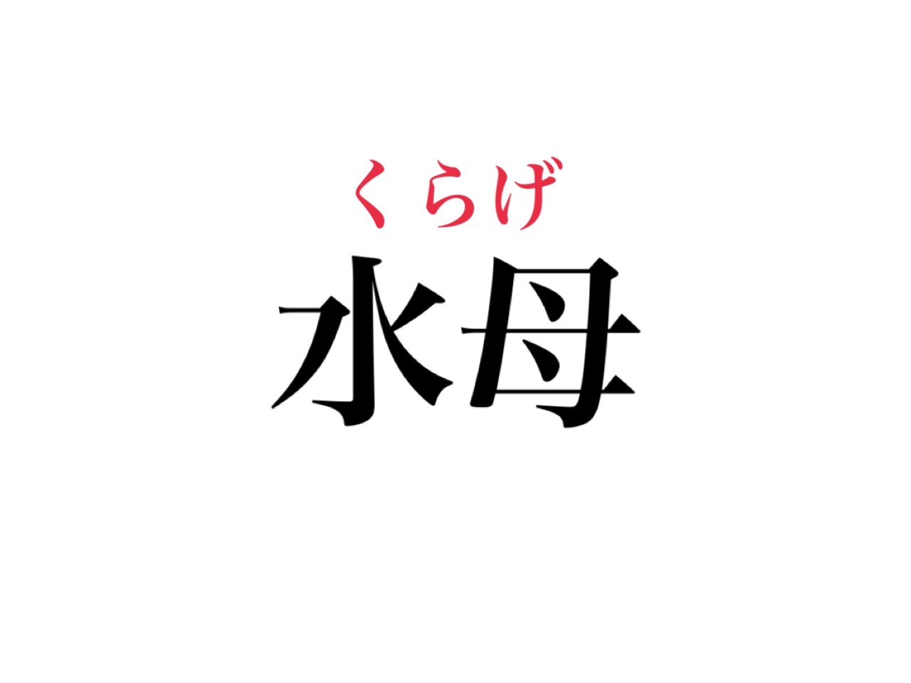 海月と水母の違いとは？くらげ漢字の意外な由来と使い分けの真相