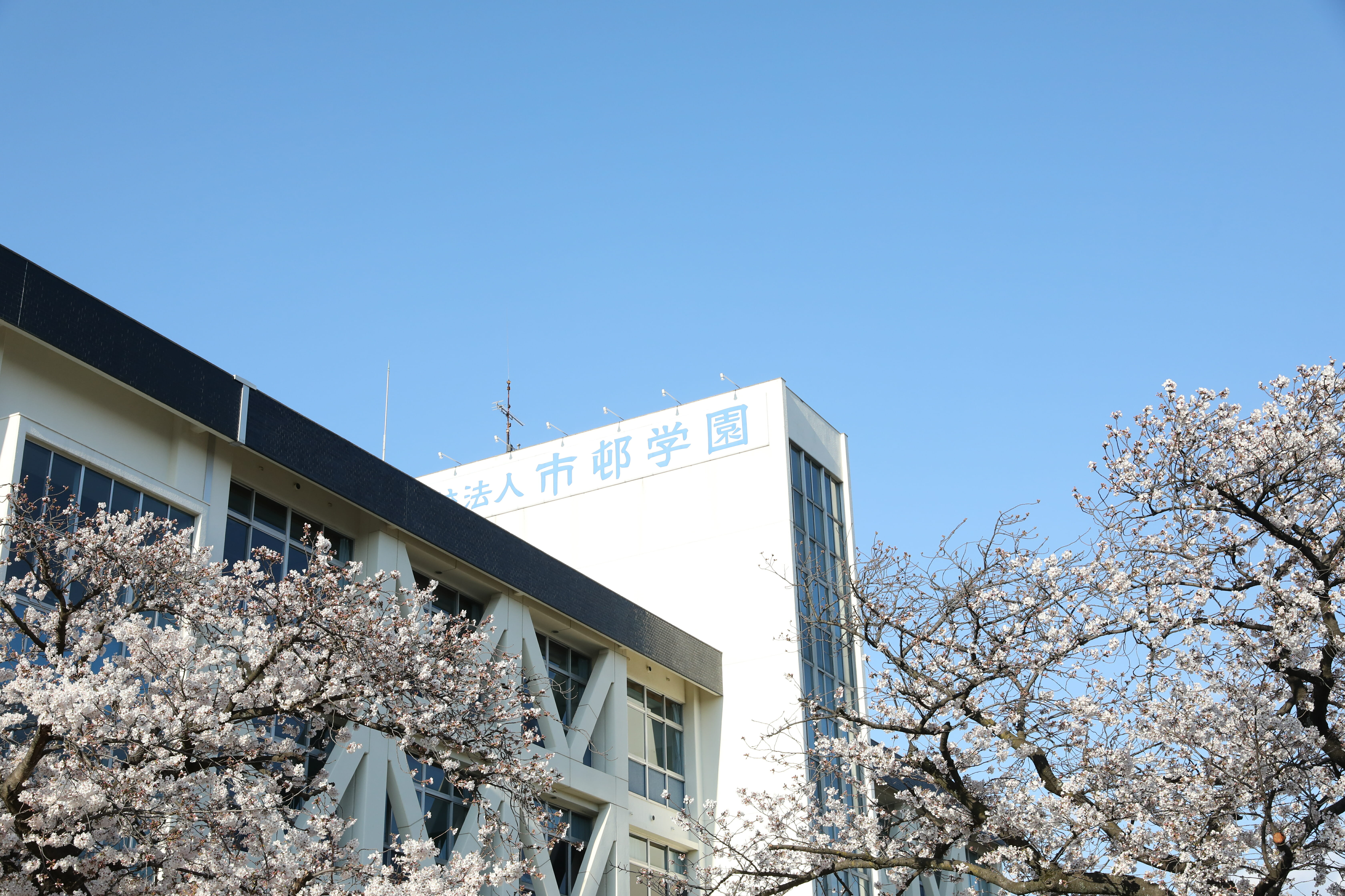伝統の進化とデジタル革新の交差点——2026年、愛知の「市邨高校」が切り拓く次世代教育のリアル
