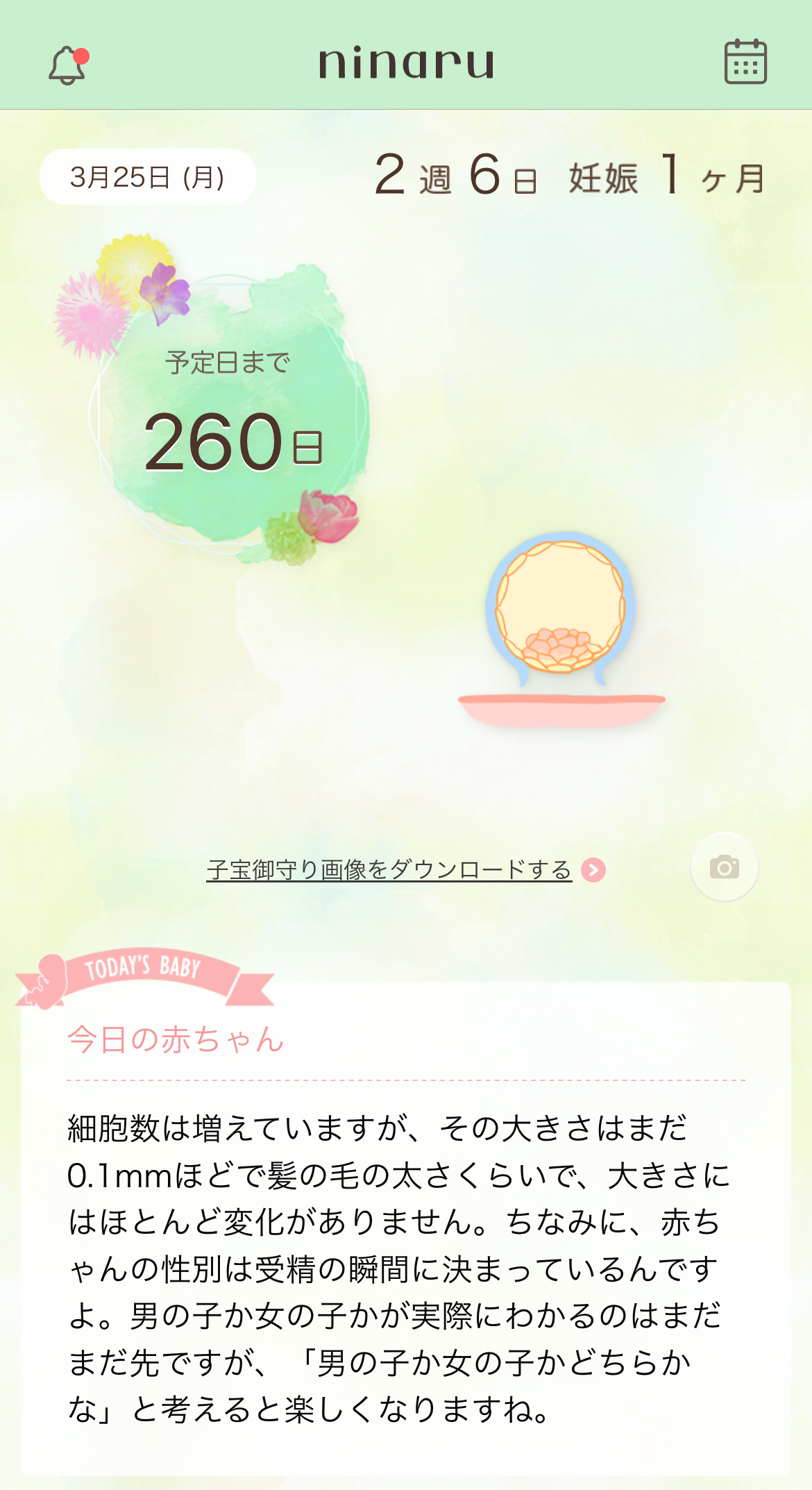 着床出血と生理の違いは？先輩ママの体験談と血の量・色・時期を徹底検証