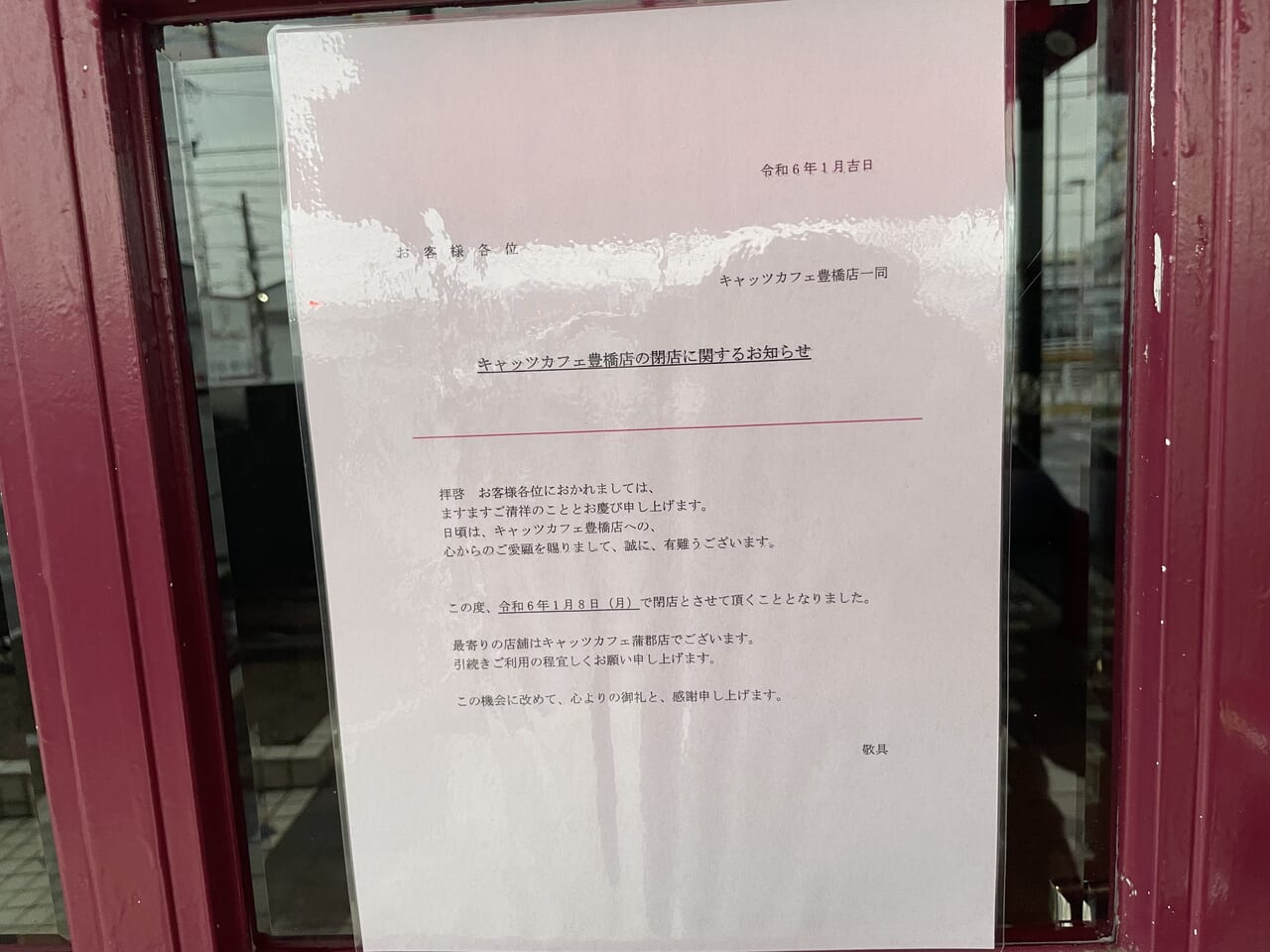 キャッツカフェ閉店理由はなぜ？全滅の噂や巨大パフェの現在を徹底追跡