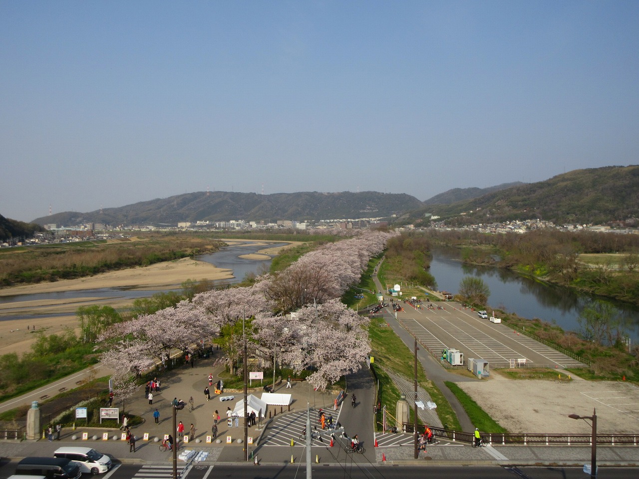 淀川三川合流域「さくらであい館」完全攻略！展望塔の絶景と混雑回避術