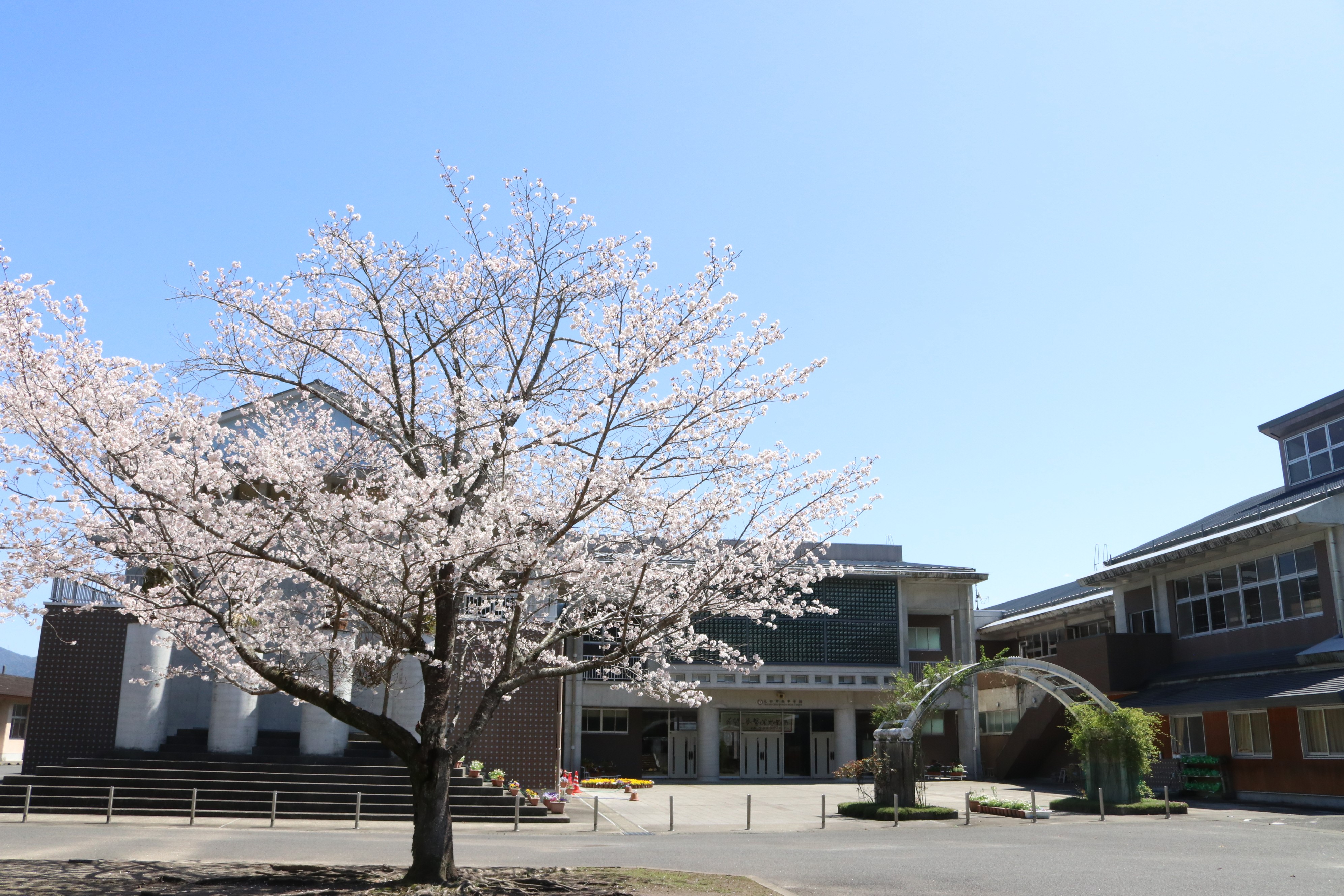 大口中央中学校の教育革新とリアルな評判！部活動・校則の最新全貌