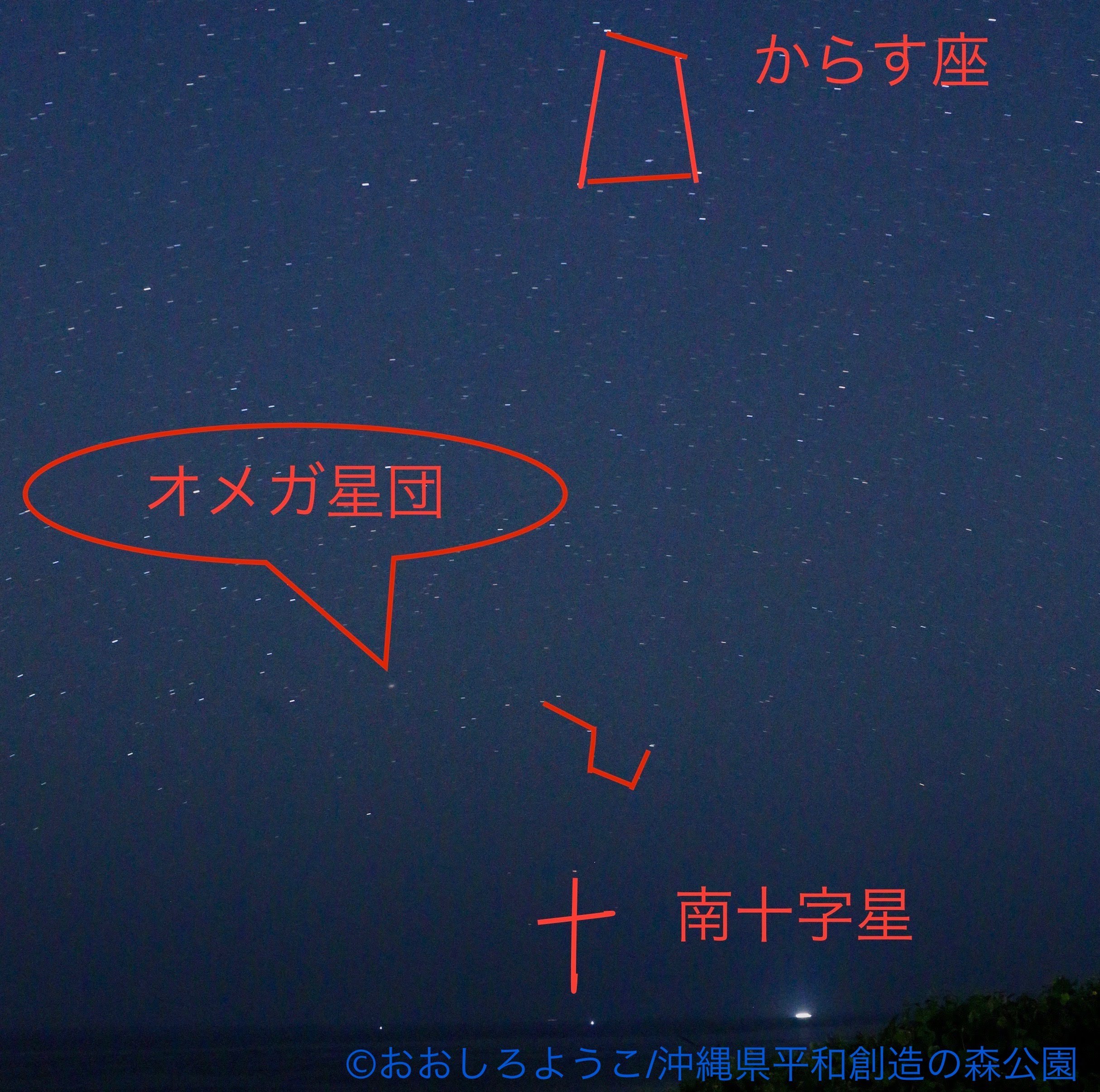 南十字星の見つけ方完全ガイド！ニセ十字の判別法と観測時期を解説