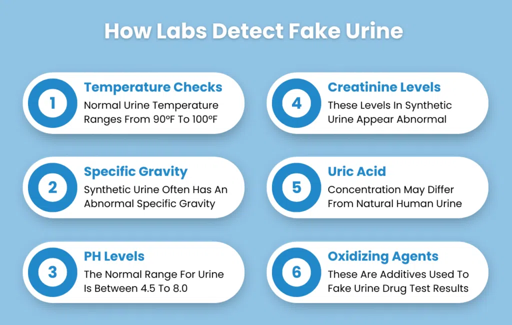 Can Lab Detect Synthetic Urine