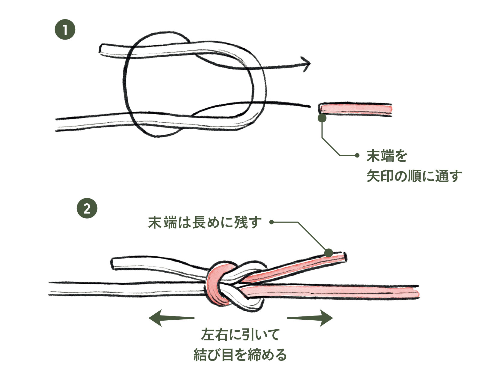 本の紐結びで緩んで崩れる原因とは？力不要でガッチリ縛る裏ワザ解説