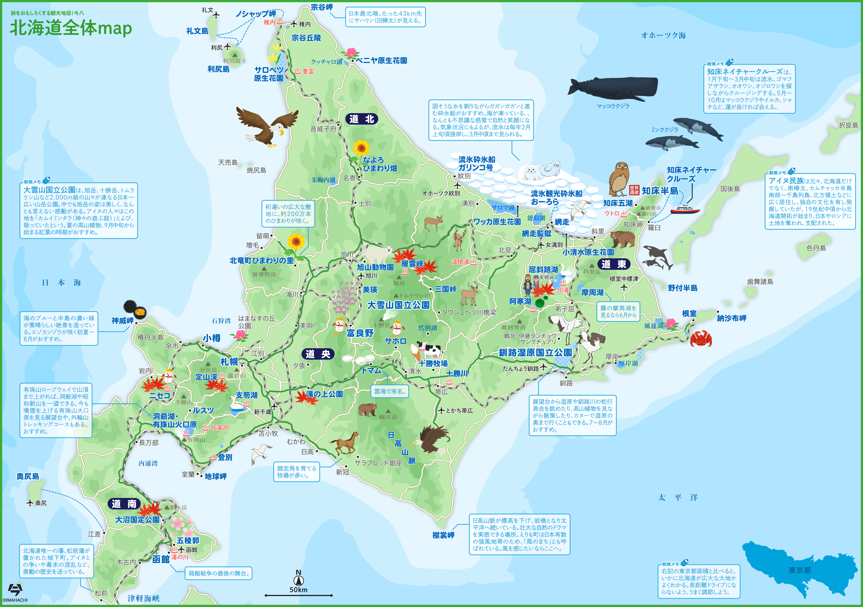 氷点下の轍で何が起きているのか？ 2026年、本州から予約殺到の「北海道 自動車学校」リアル現場ルポ