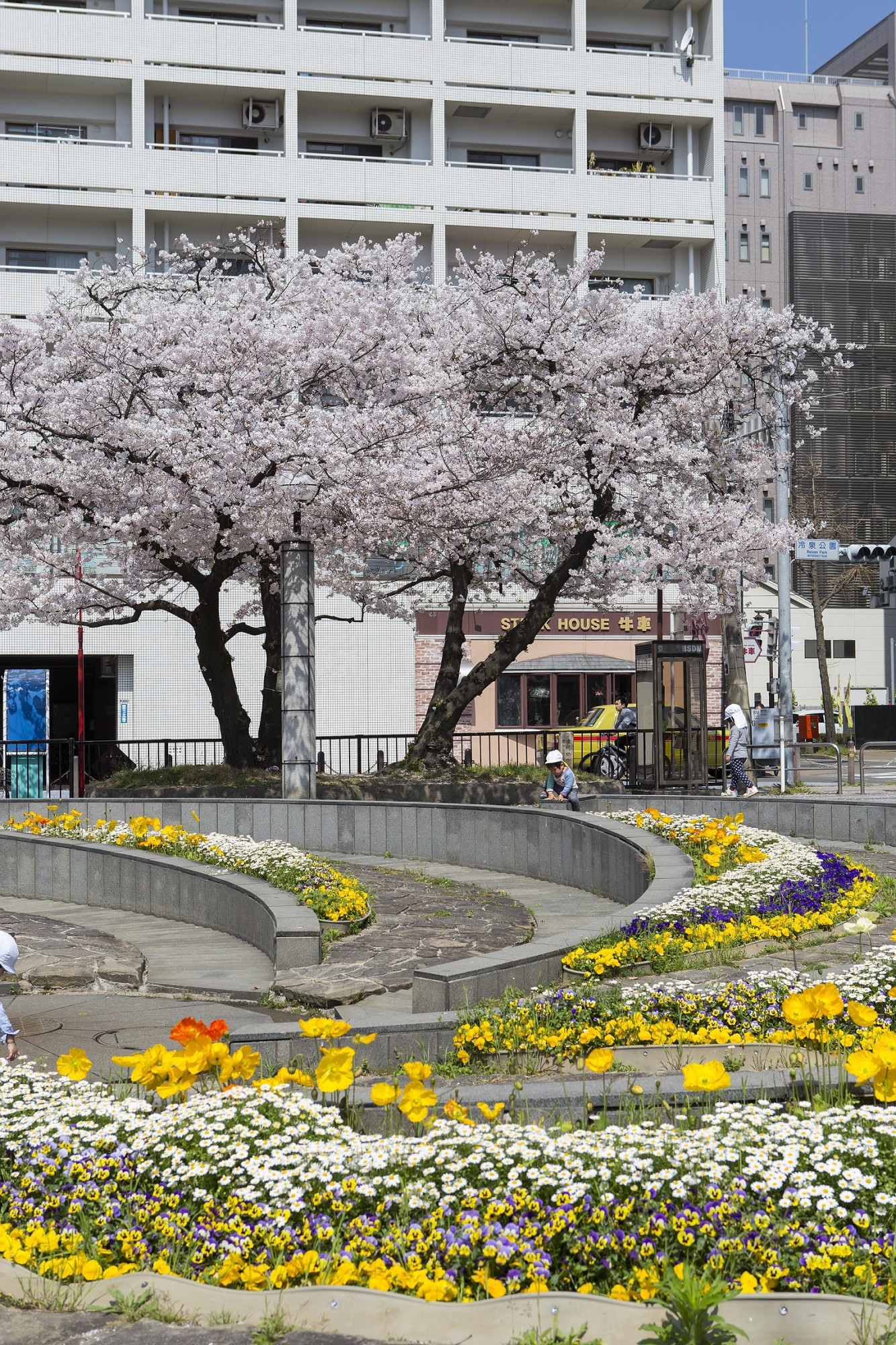 博多・冷泉公園の真実【2026】花見から屋台・治安まで徹底取材