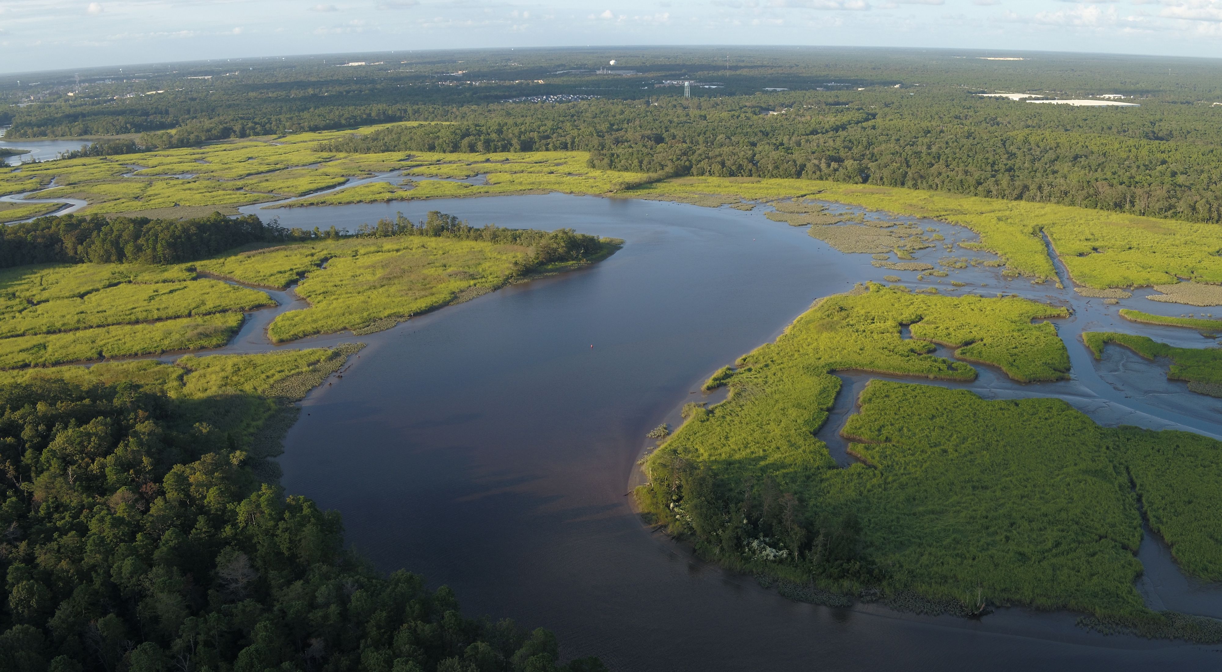 Maurice River Bluffs Preserve Photos