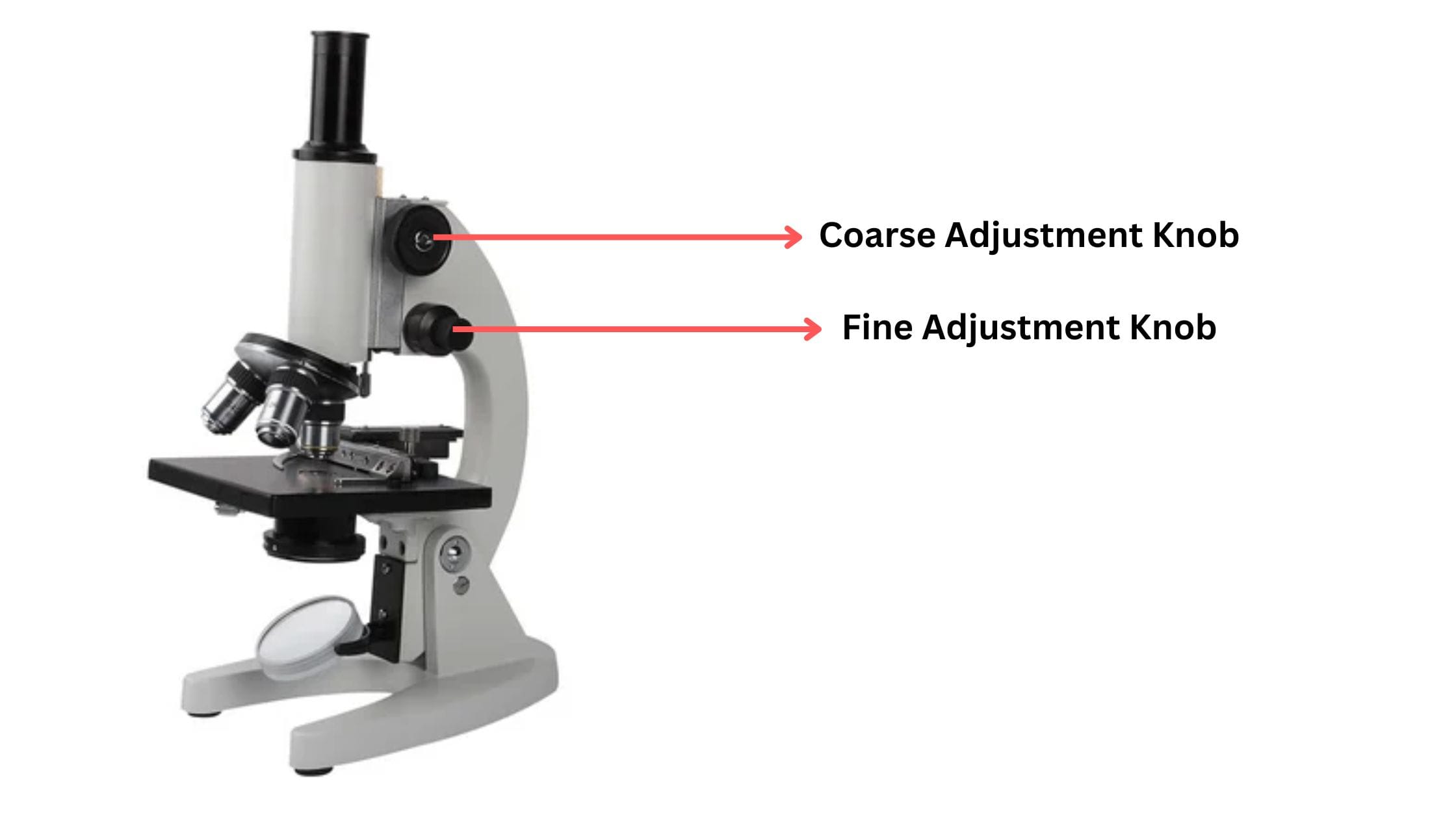 The Coarse Adjustment Knob on the Microscope