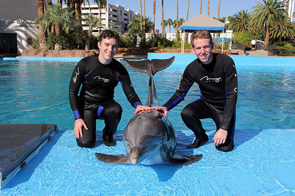 Swim with Dolphins Las Vegas