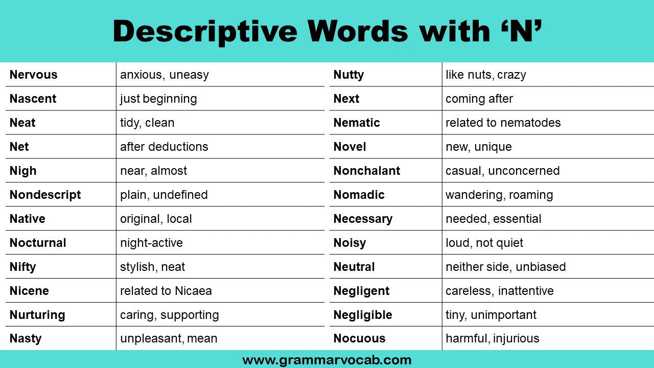 Words That Describe a Person Starting with N