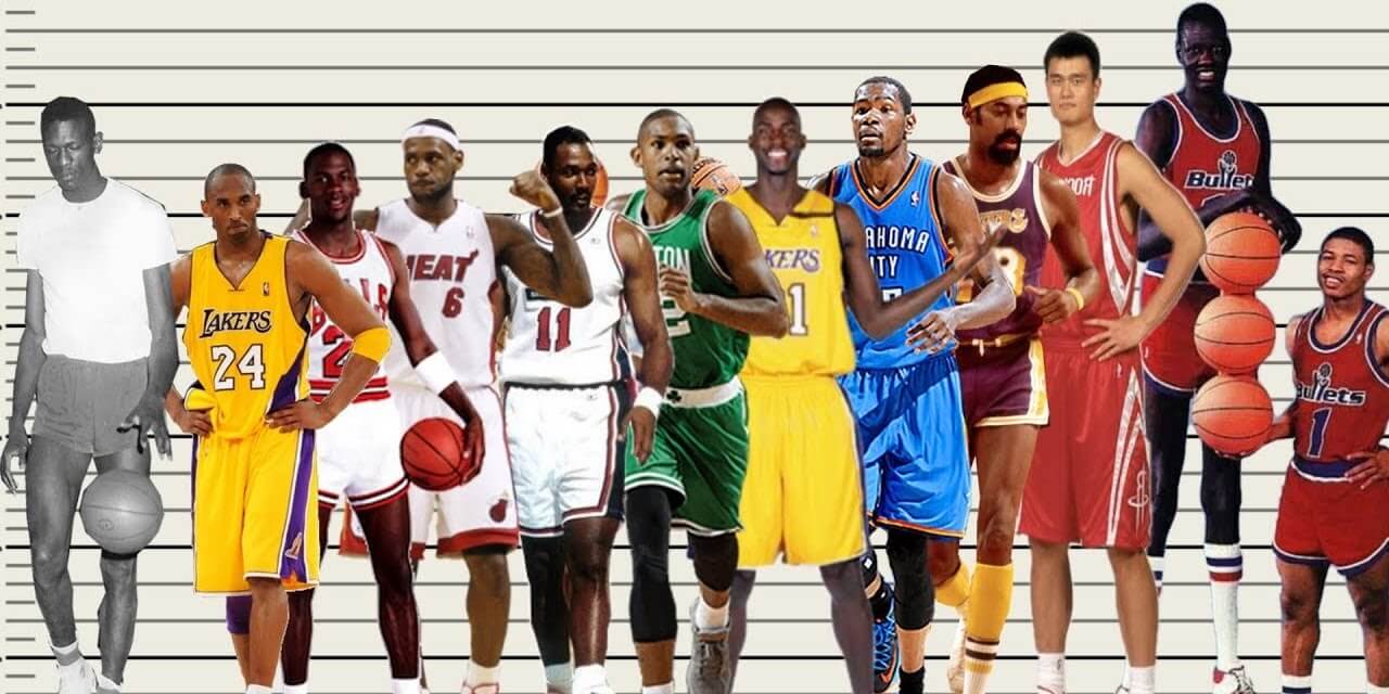 Average Height Nba Basketball Player