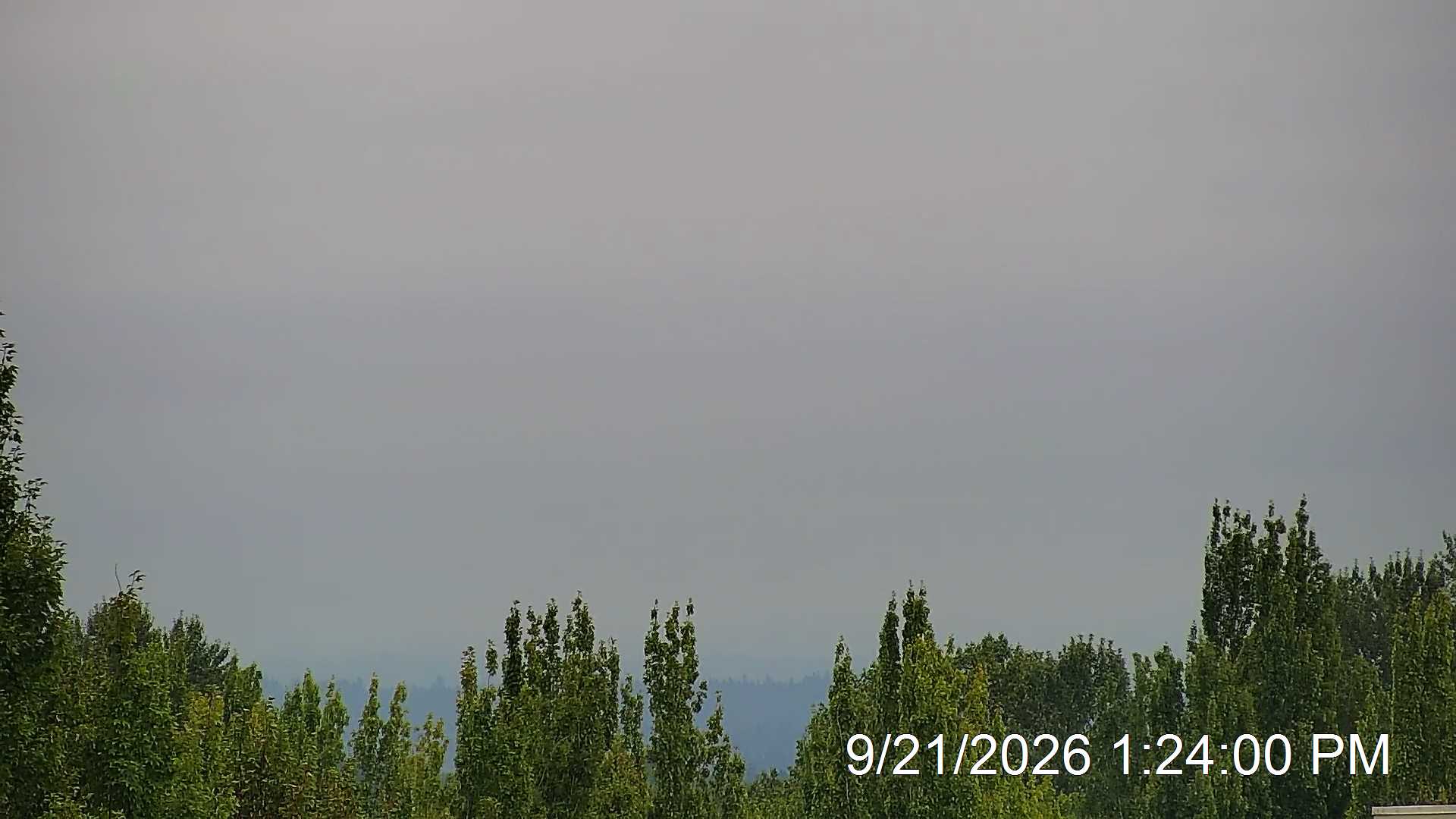 Pdx Weather Cam