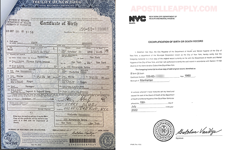 New York Birth Certificate