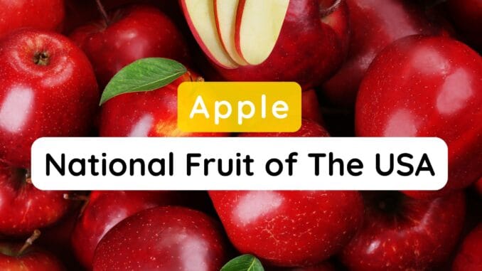 National Fruit in Usa