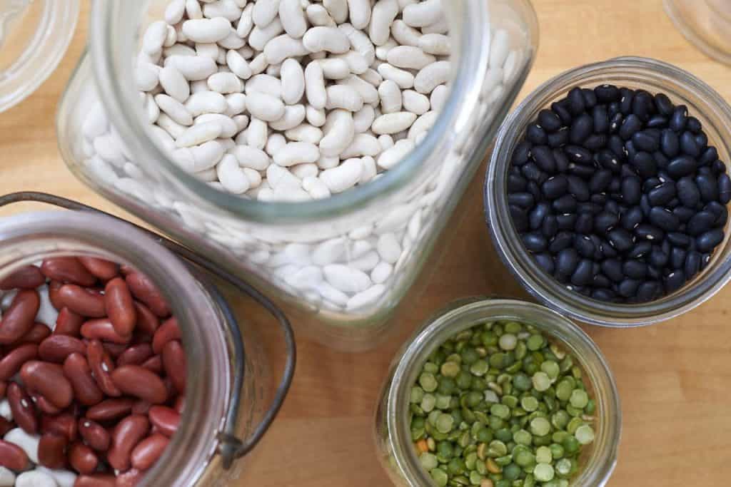 Substitution for Great Northern Beans