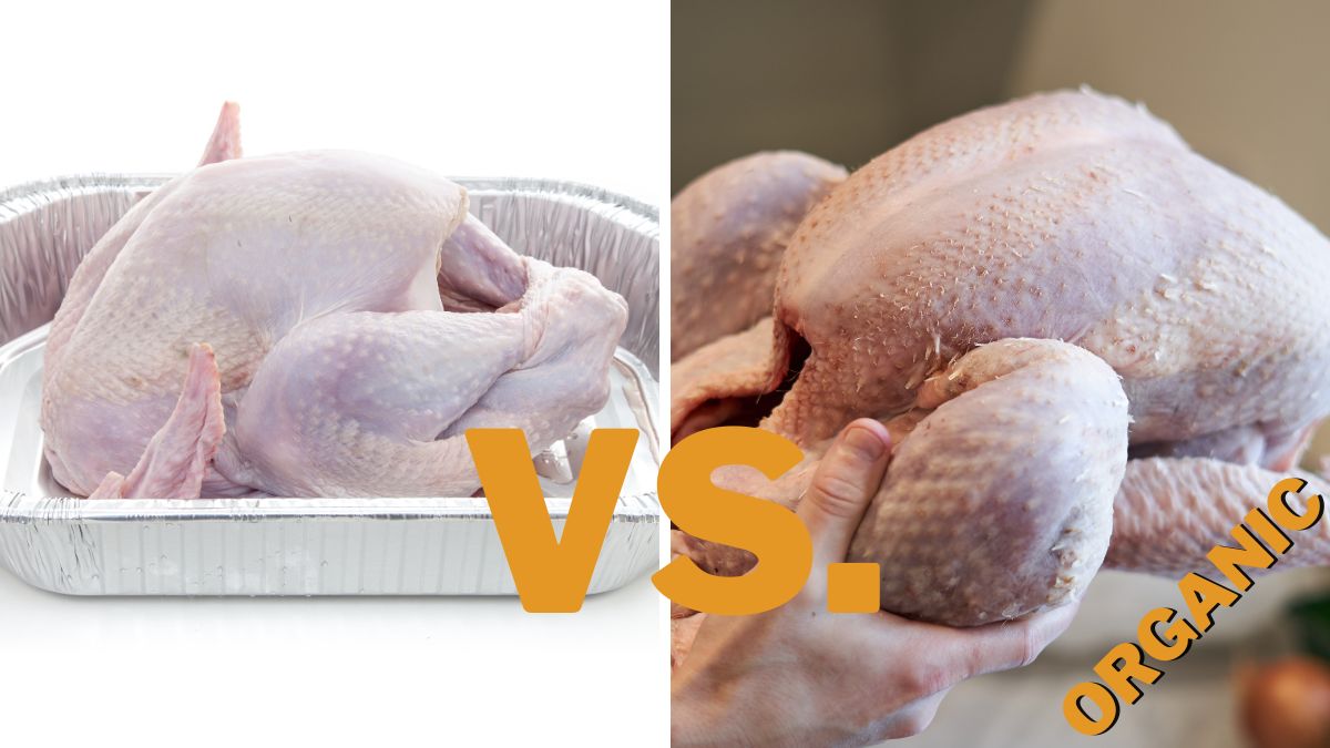Organic Turkey vs Regular