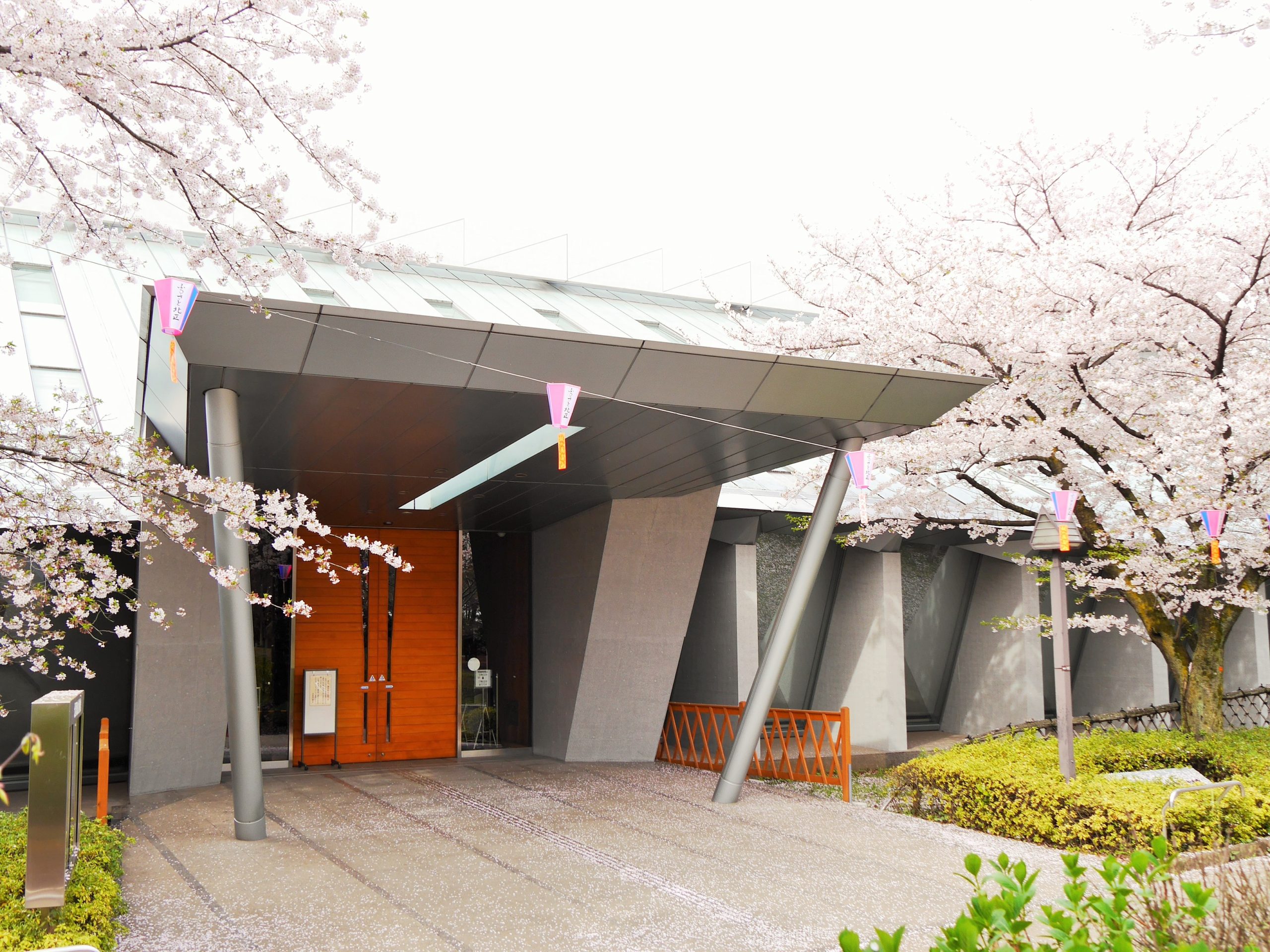 北区飛鳥山博物館の真価｜見どころ・3館共通券・混雑回避を徹底検証