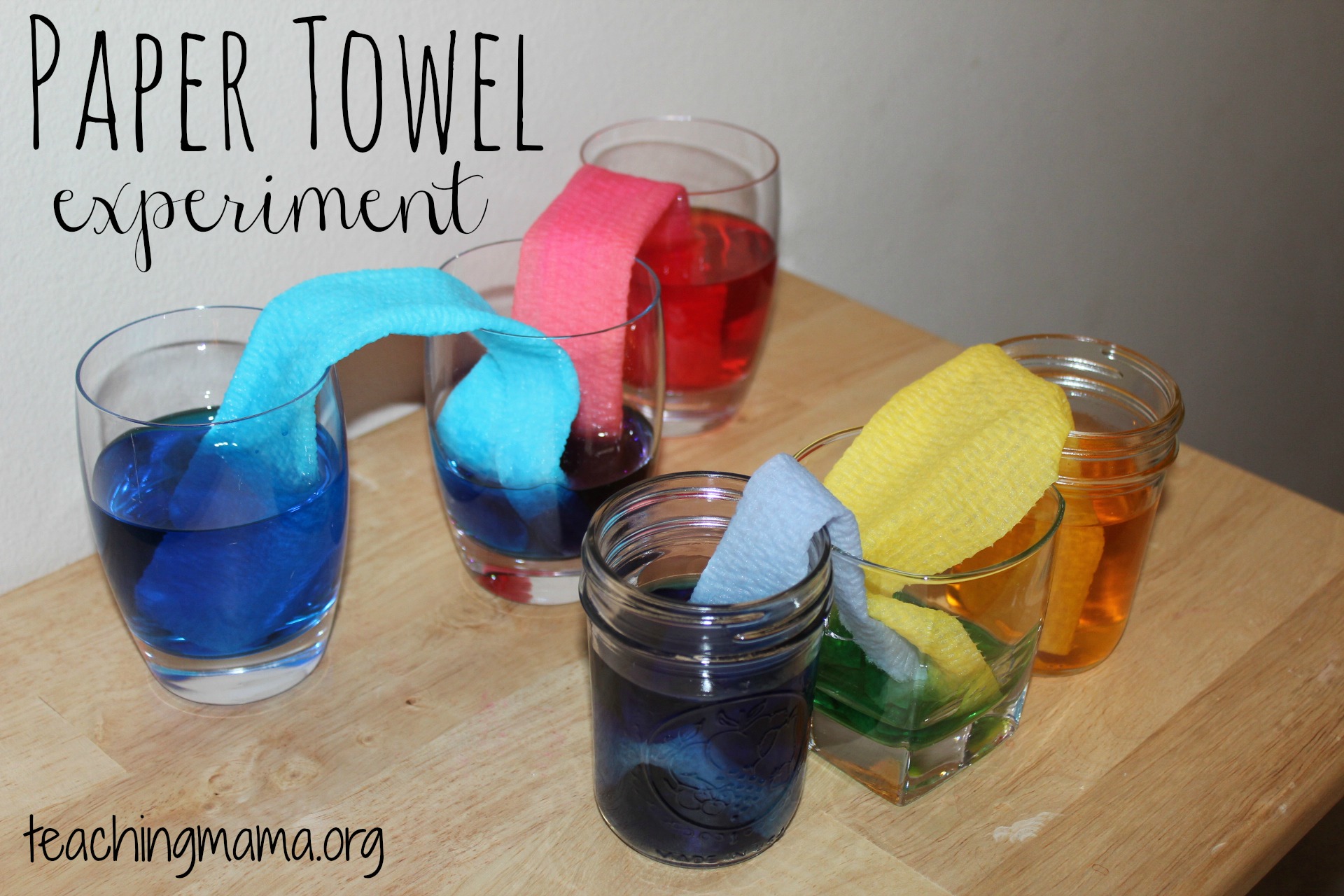Paper Towel Absorbs Water Physical or Chemical Change