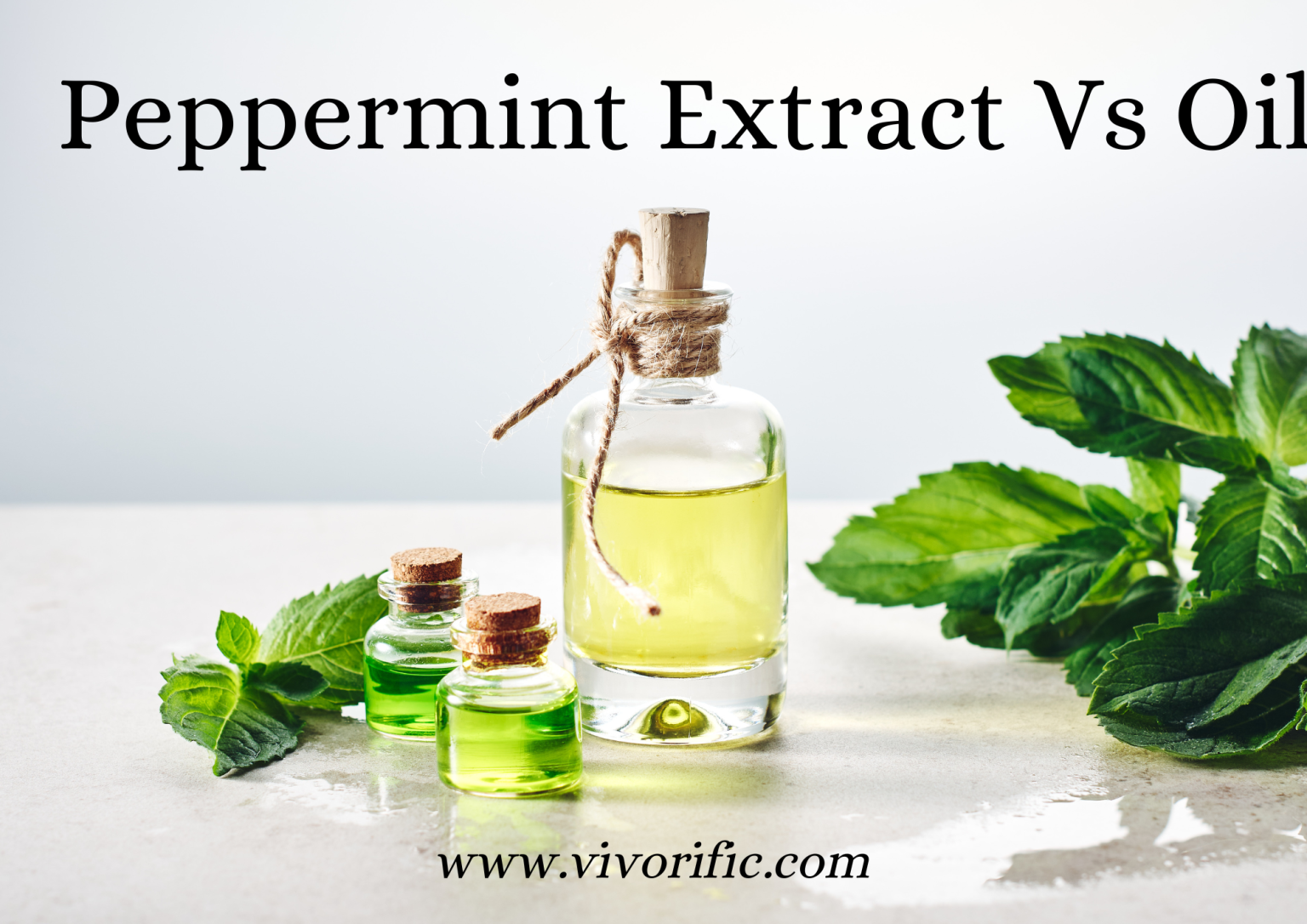 Is Peppermint Oil the Same Thing as Peppermint Extract