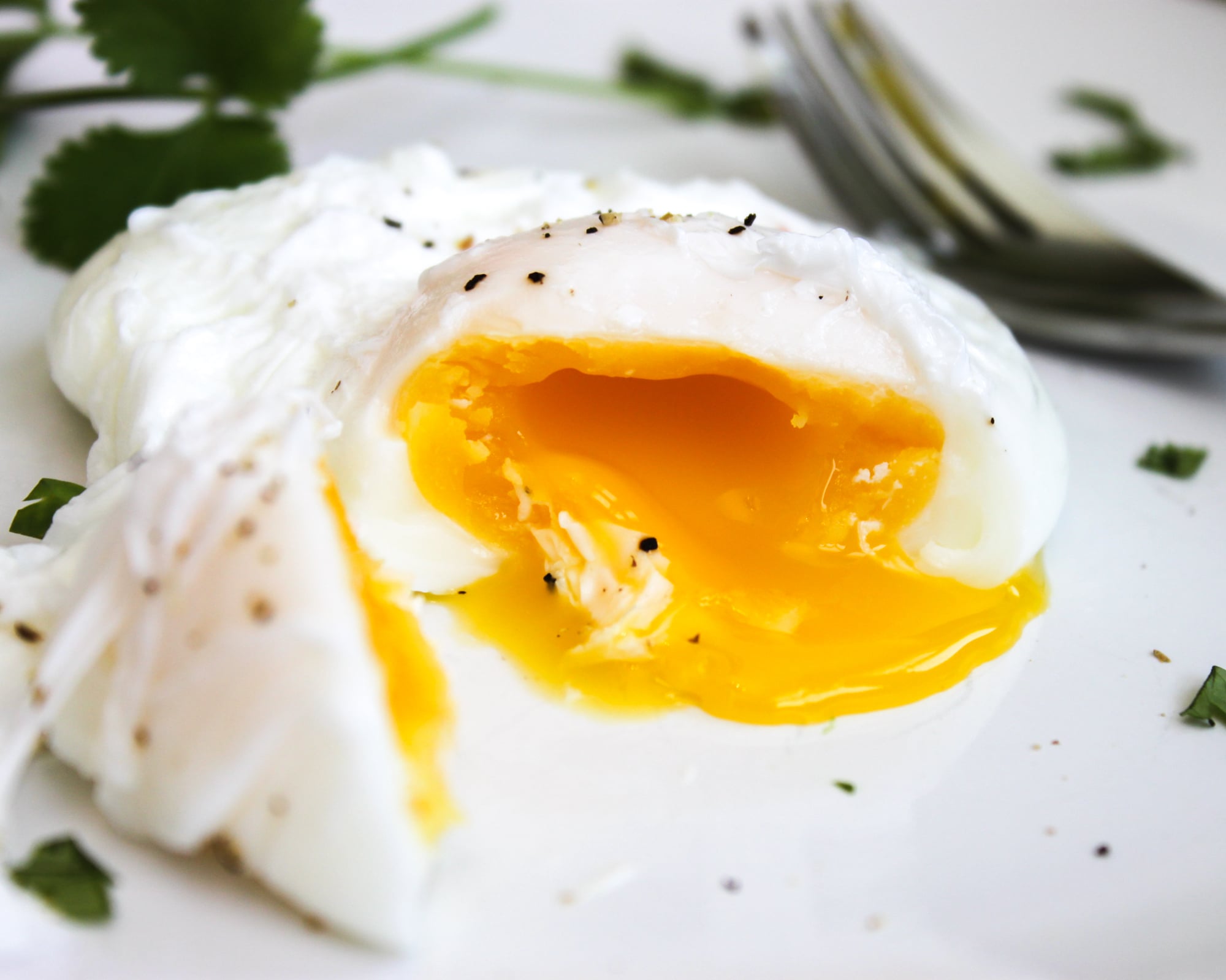 Poaching a Perfect Egg