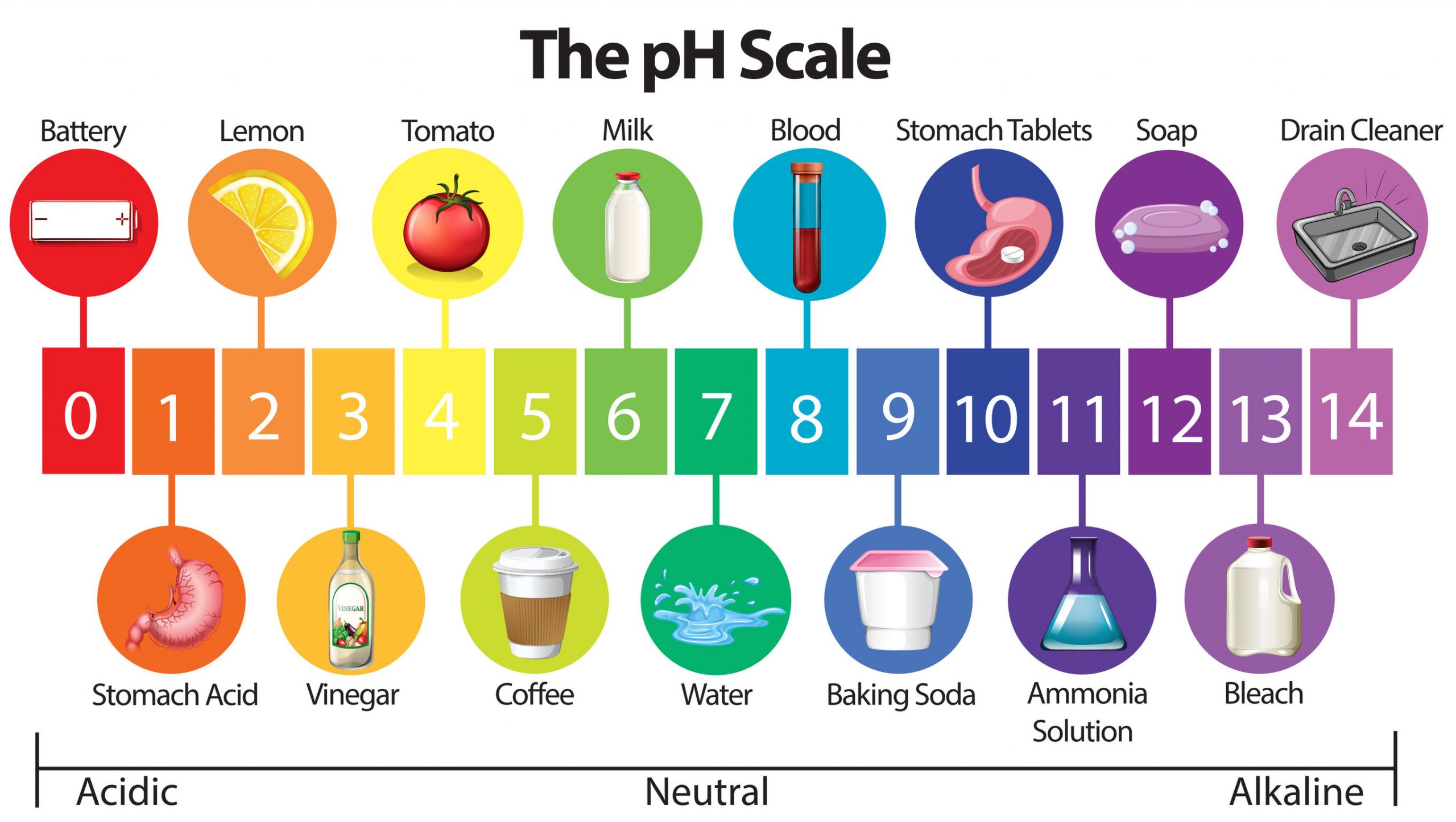 What Does a Ph Measure