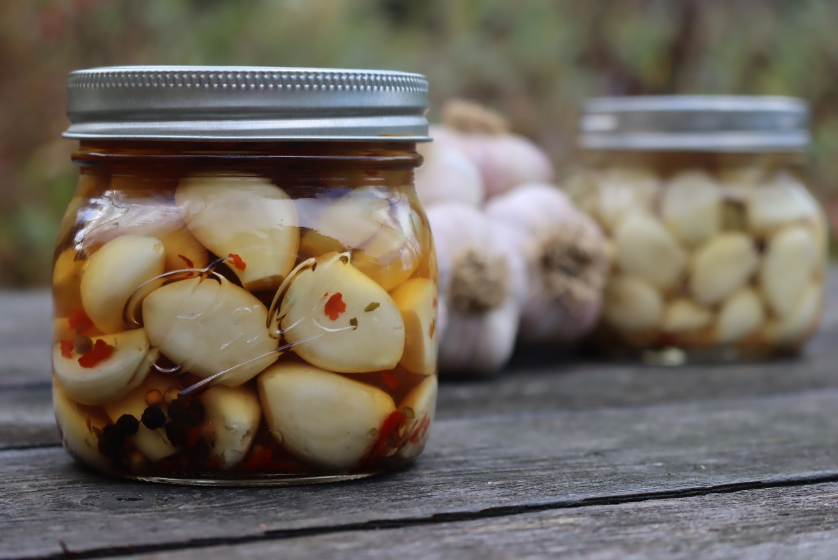 What to Use Pickled Garlic For