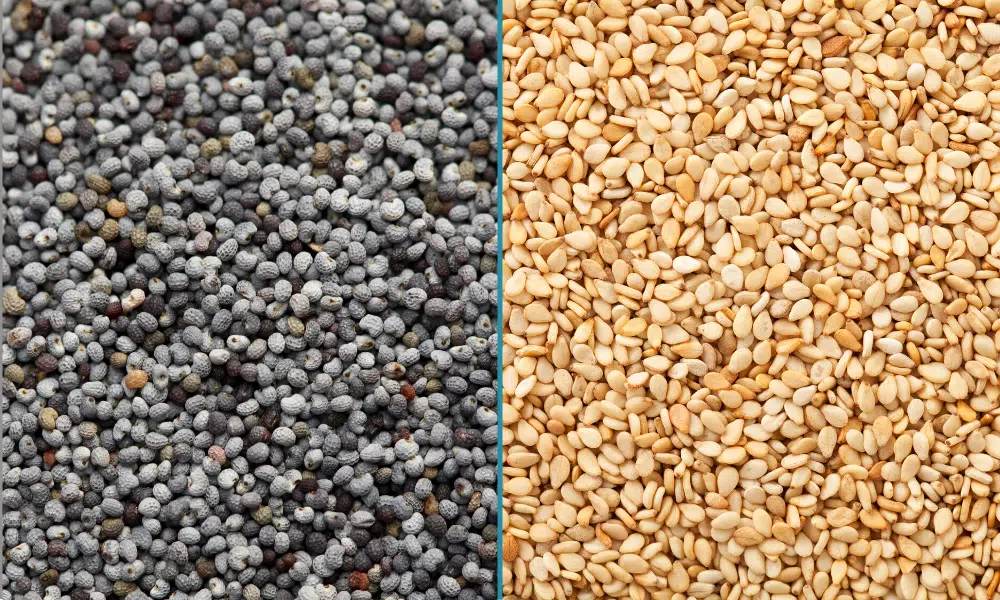 Poppy Seed vs Sesame Seed