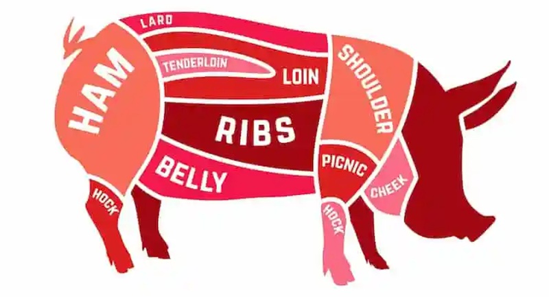 Where Does the Pork Tenderloin Come From