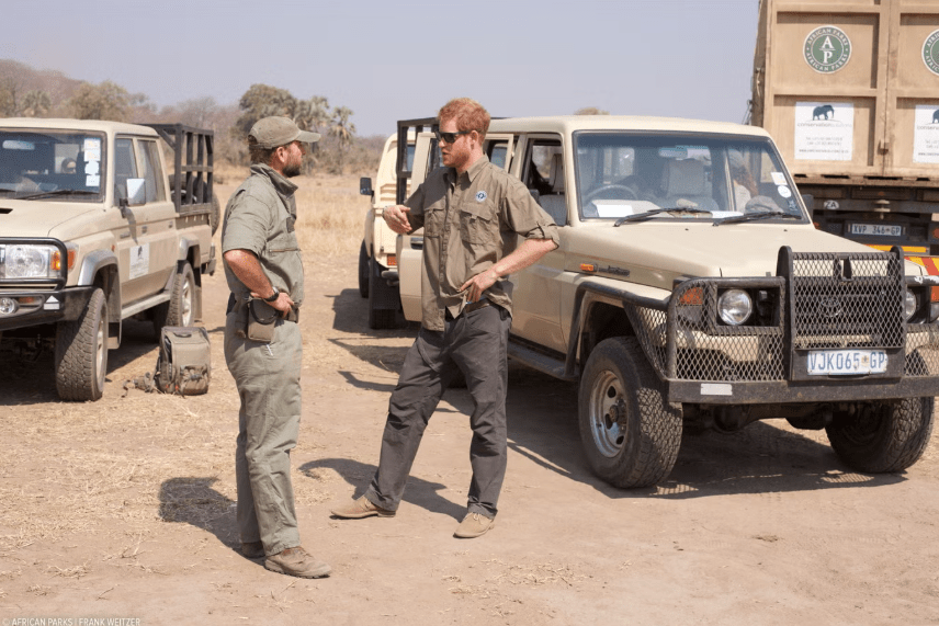 Prince Harry Ends Board Role with African Wildlife Conservation Group
