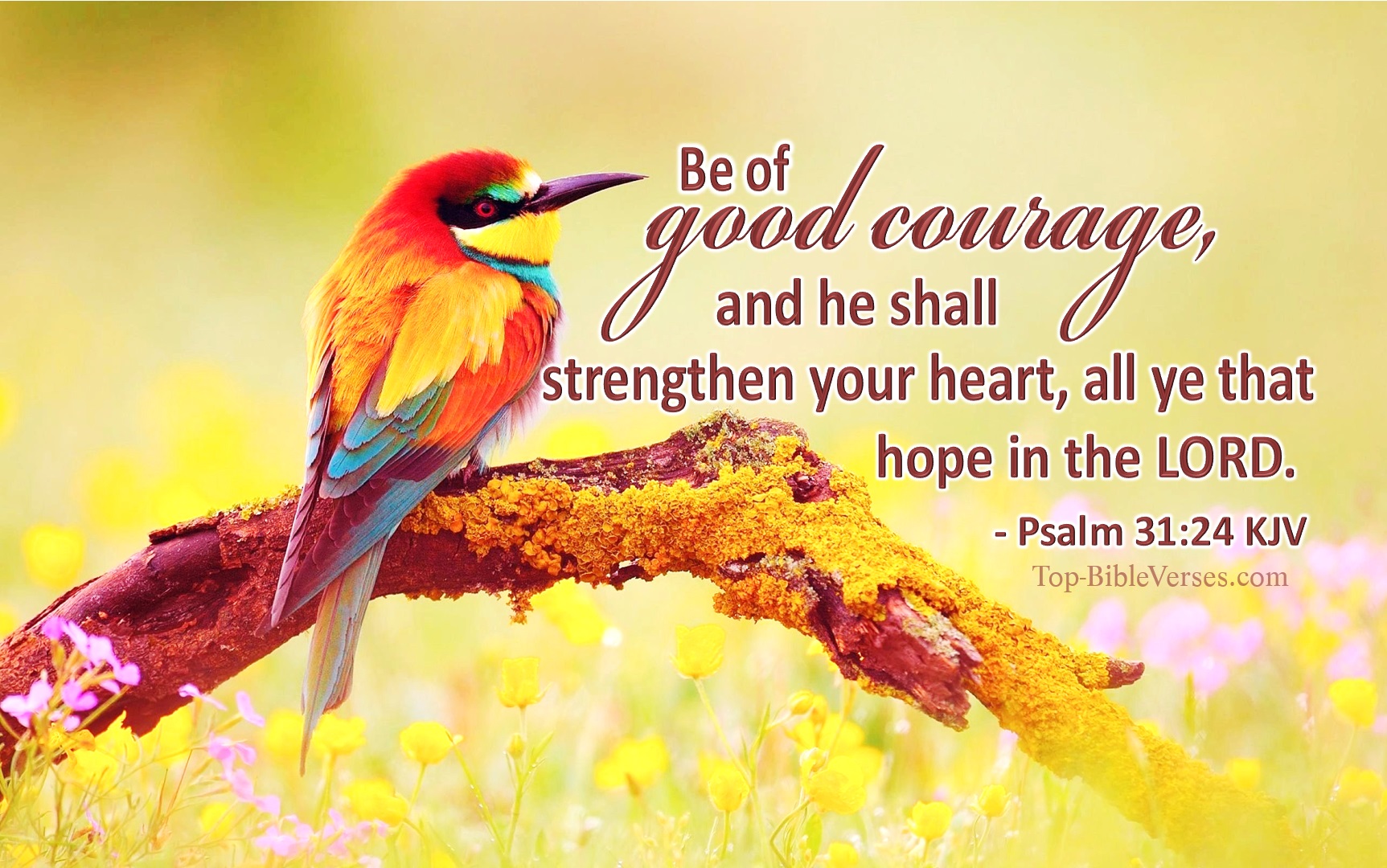 Encouraging Bible Verses Kjv