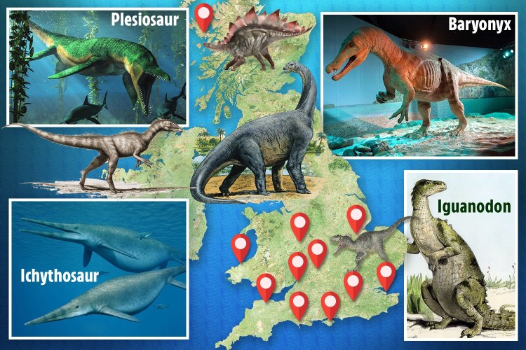 Were There Dinosaurs in the Uk