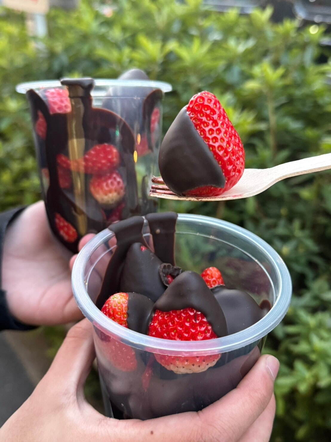 2026年最新いちごチョコ徹底解剖！市販おすすめ比較と絶品レシピ