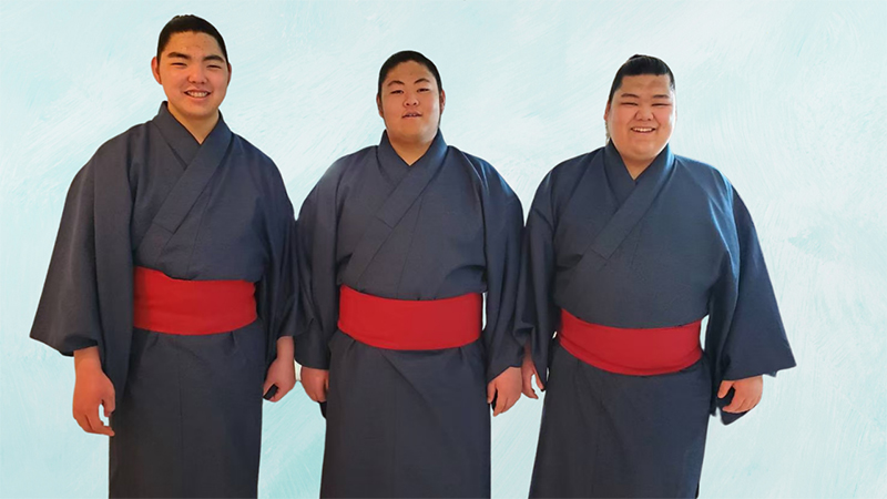 2026年、田子ノ浦部屋が挑む土俵革命：高安の執念と新世代が紡ぐ「泥臭い強さ」の真実