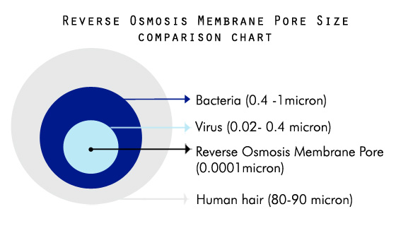 Reverse Osmosis Membrane Pore Size Micron