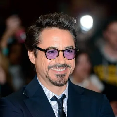 Why Did Robert Downey Jr Go to Prison