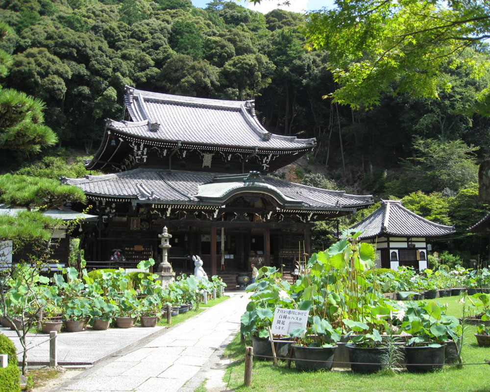 宇治七名園で現存は奥ノ山のみ？なぜ6園が消えたのか歴史の真相を徹底解説