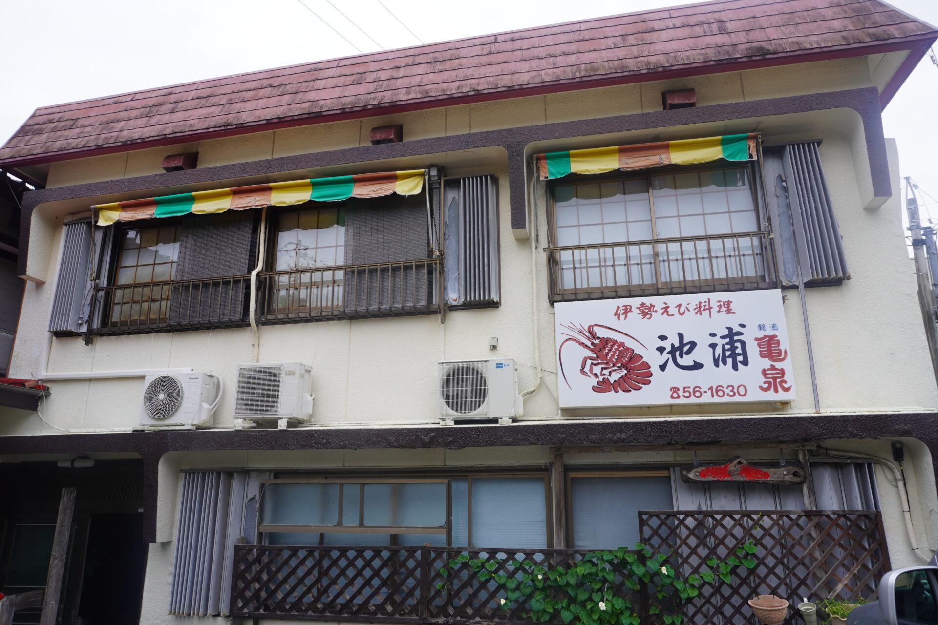 高知池浦の伊勢海老料理店が熱烈支持される理由と2026年最新攻略