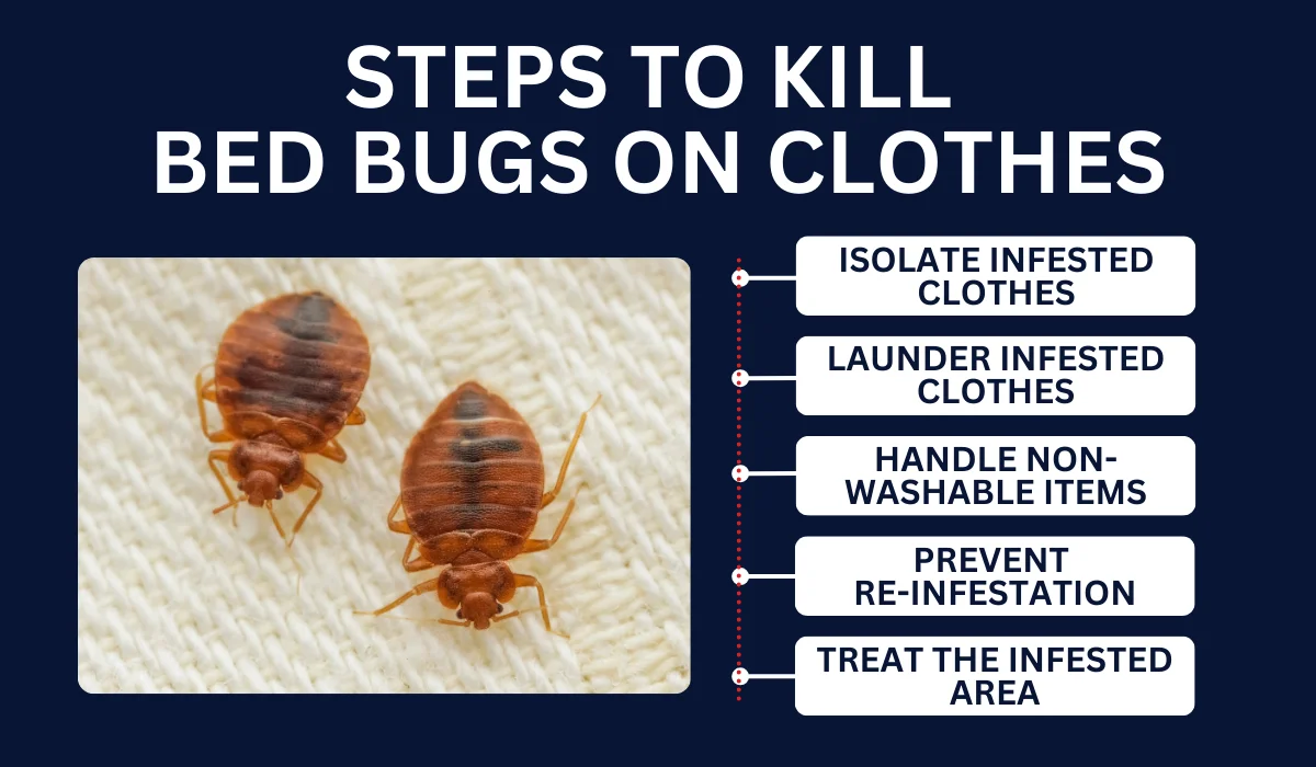 Can Bed Bugs Go in Your Clothes
