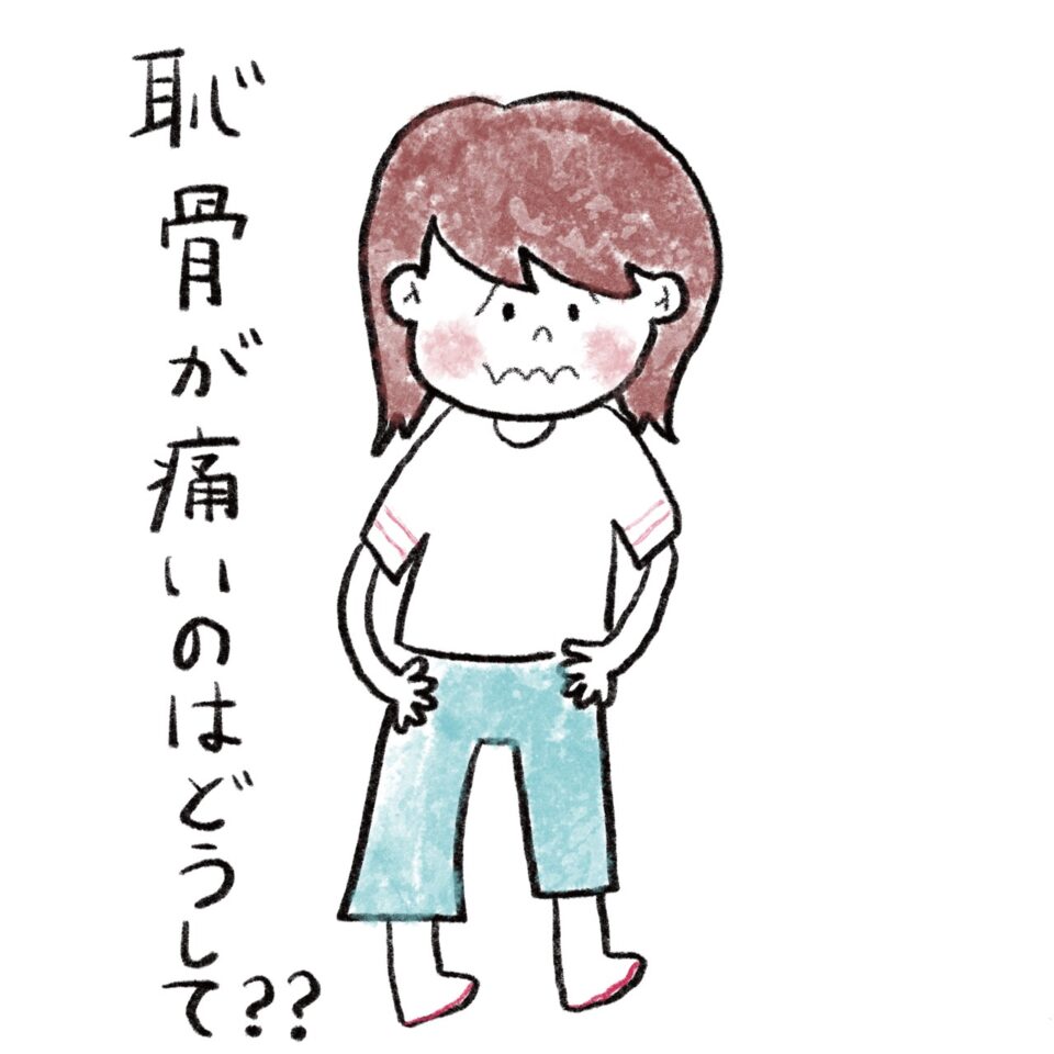 妊娠中期の恥骨痛は早産の兆候？激痛の原因と切迫早産の見分け方を徹底解説