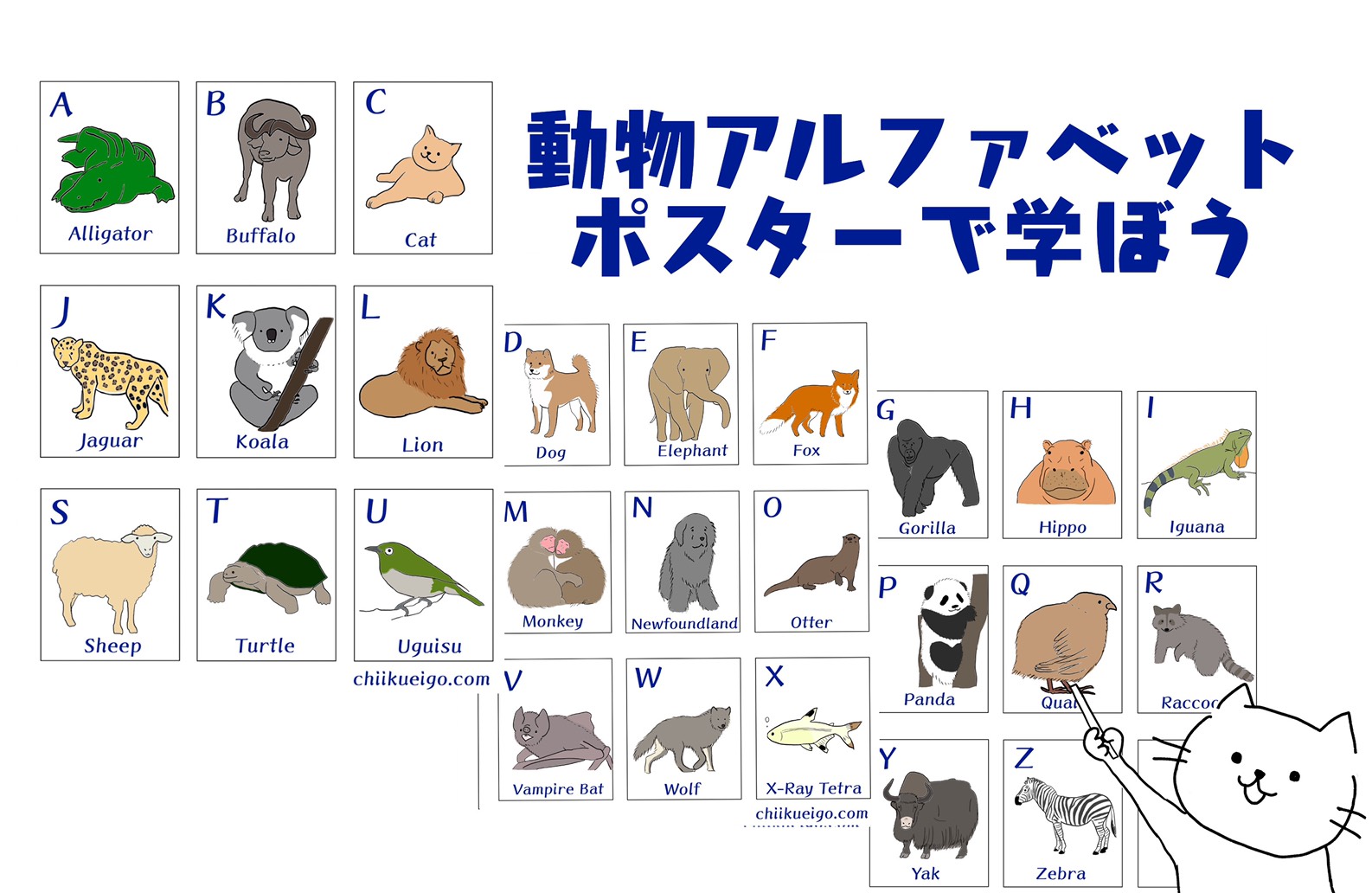 「ち」から始まる動物図鑑！しりとりに強い珍獣や鳥類・魚類を一挙紹介
