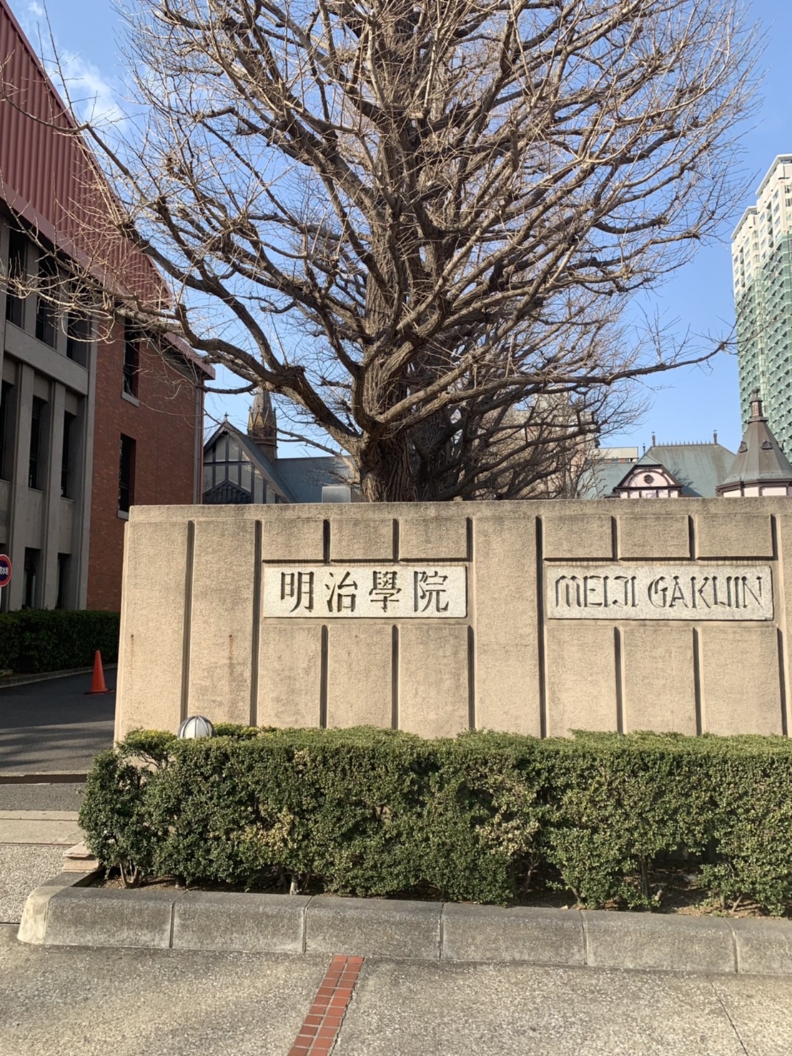 明治学院大学経済学部の就職力と偏差値！看板学部の評判とキャンパス真相