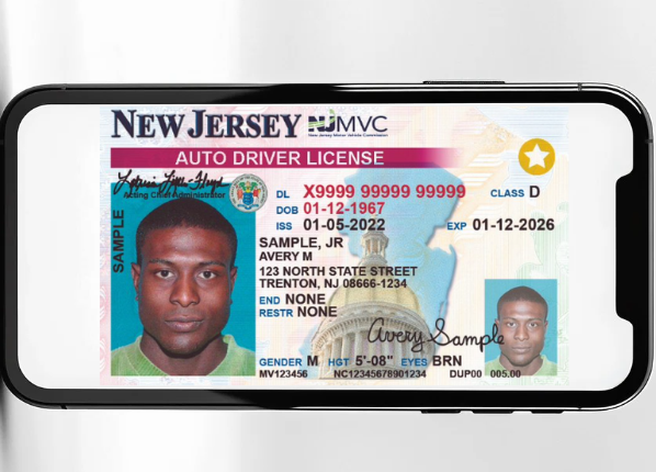 Nj Dmv License Status Check