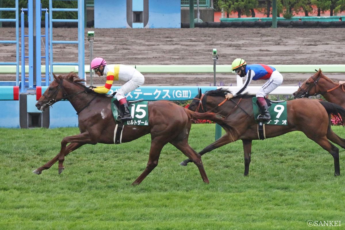 函館2歳Sの過去10年データを徹底解剖！波乱の真相と激走穴馬の条件