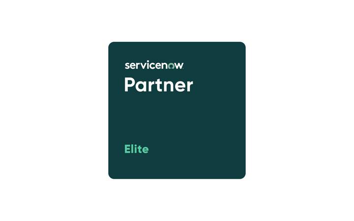 Servicenow Consulting Partner