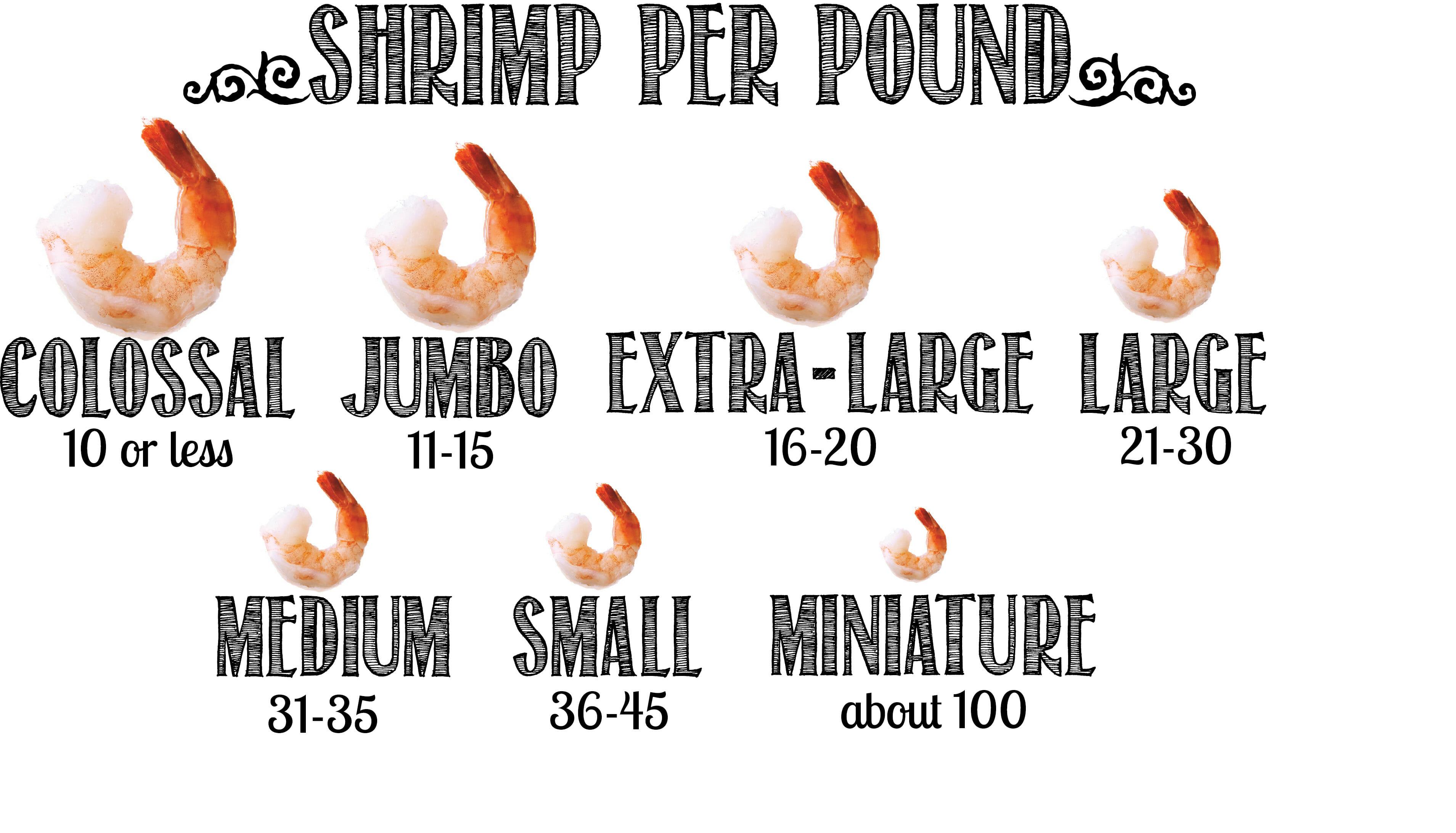 How Many Does a Pound of Shrimp Feed