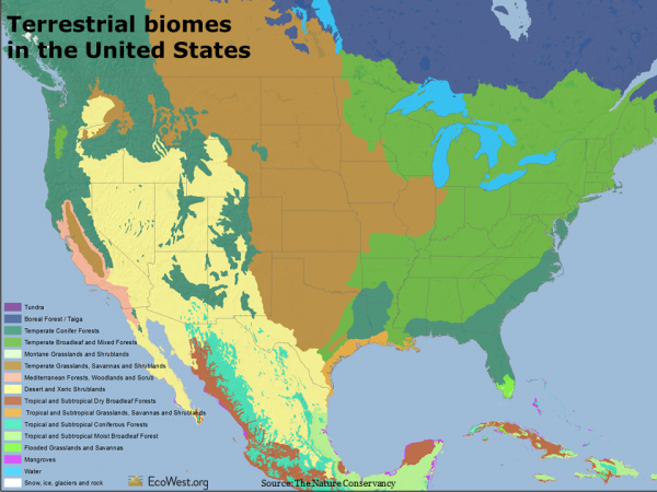 What Kinds of Biomes Are Found in the United States