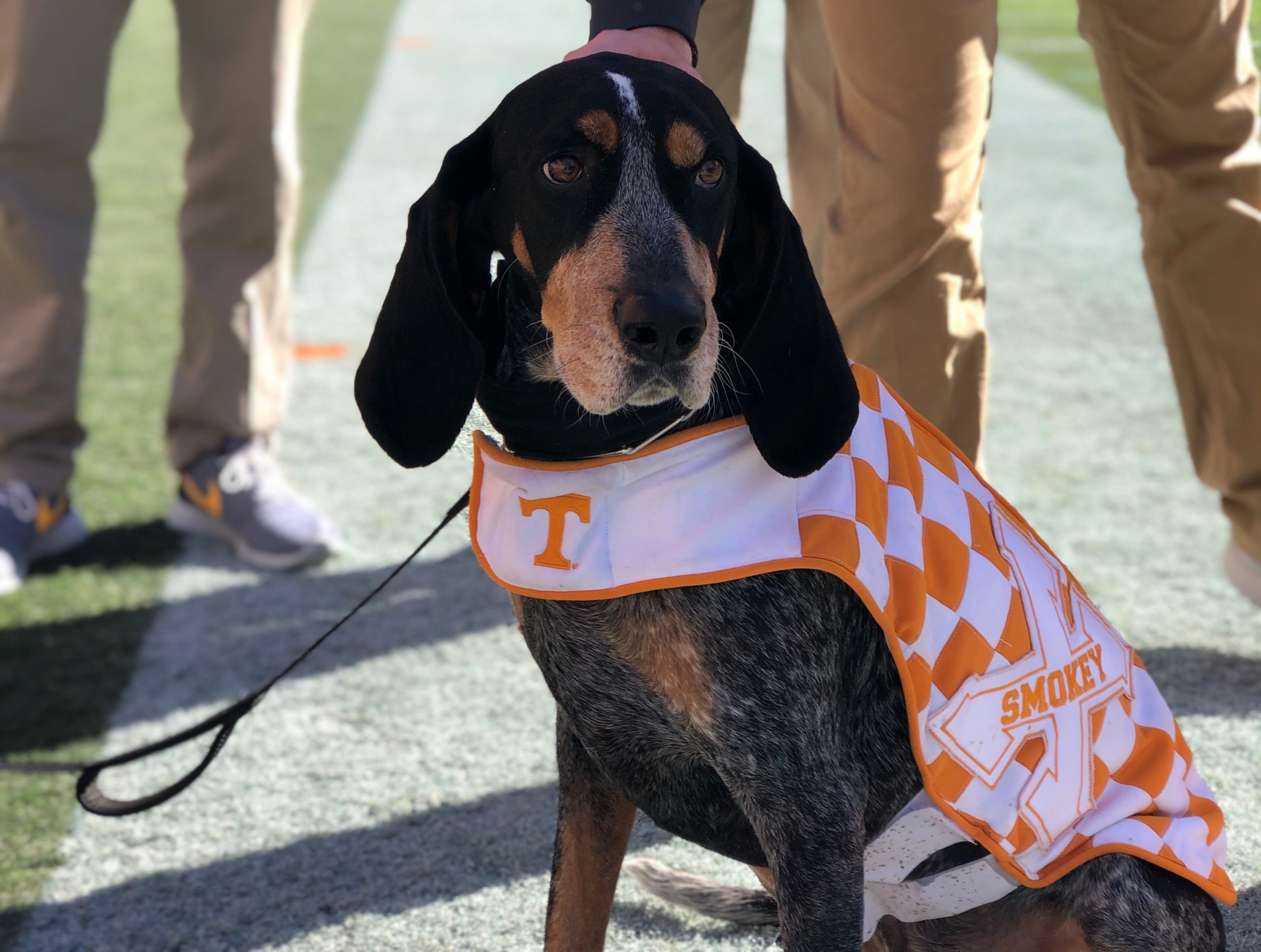 Smokey Dog Mascot