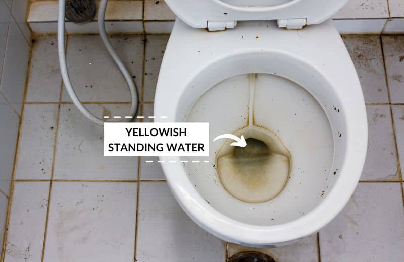 Why Is Toilet Water Brown